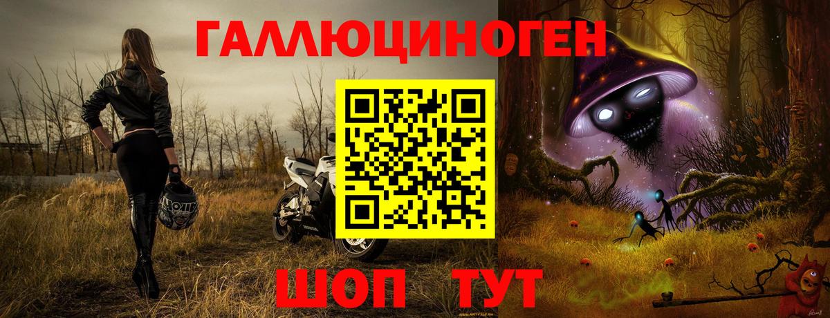 Галлюциногенные грибы MAGIC MUSHROOMS  продажа наркотиков  Заводоуковск  Вход с VPN 
